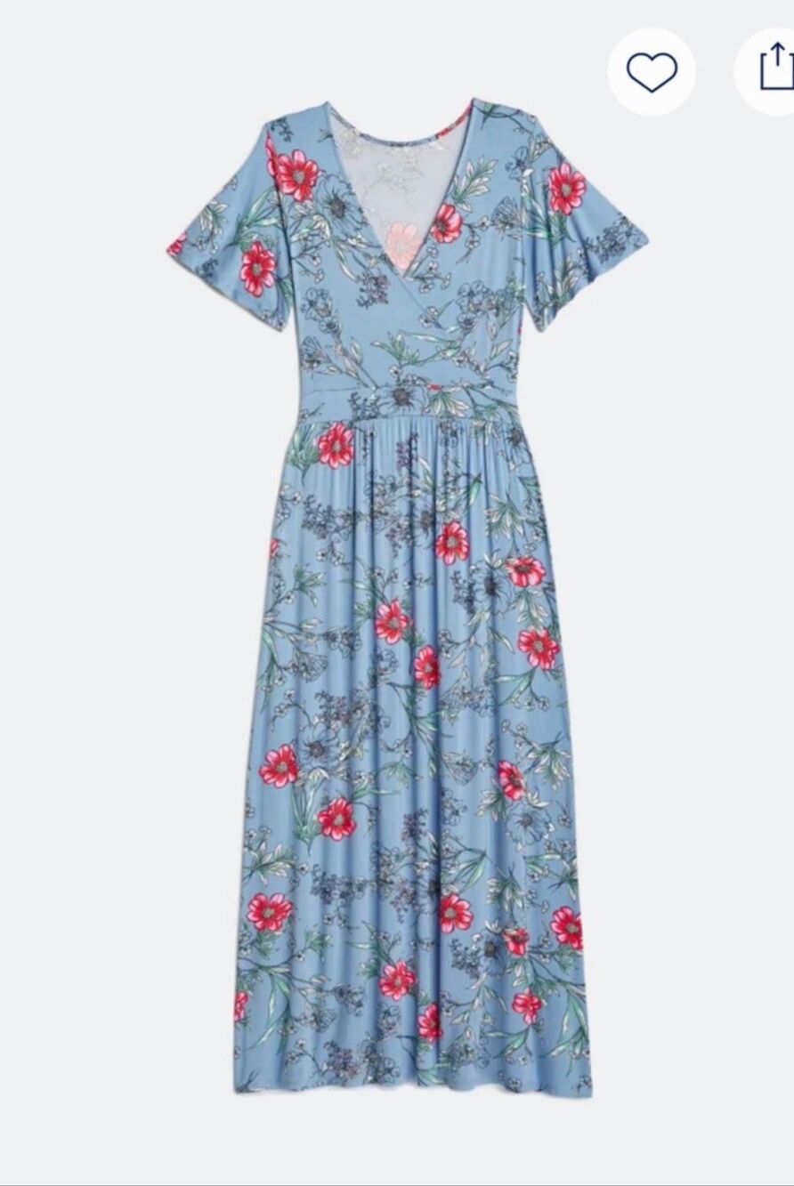 41 Hawthorn Small Elisse Surplise blue floral maxi dress